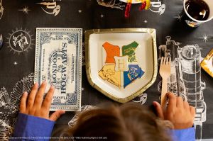 Салфетки Хари Потър- билет от Лондон до Хогуортс / Harry Potter